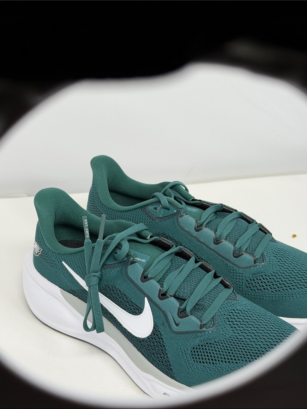 Nike Zoom Pegasus 41 Eagles